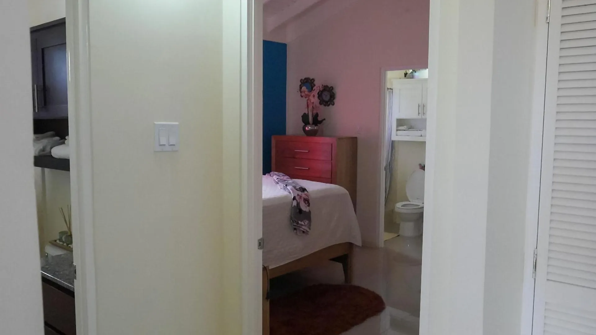 2 Bdr B&B Near Martha Brae River Rafting Florence Hall